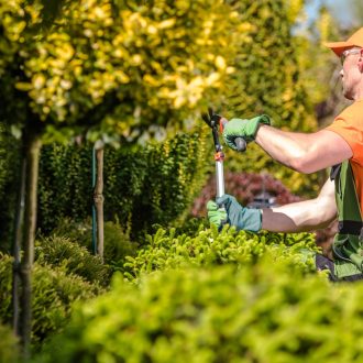 Seasonal Garden Trees Trimming.